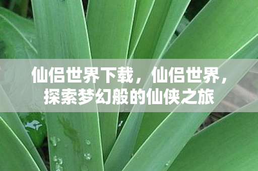 仙侣世界下载,仙侣世界,探索梦幻般的仙侠之旅 仙侣世界下载,仙侣世界,探索梦幻般的仙侠之旅