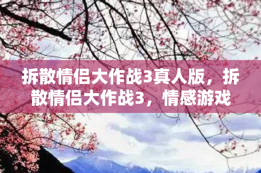 拆散情侣大作战3真人版，拆散情侣大作战3，情感游戏的背后真相