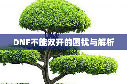 DNF不能双开的困扰与解析 DNF不能双开的困扰与解析