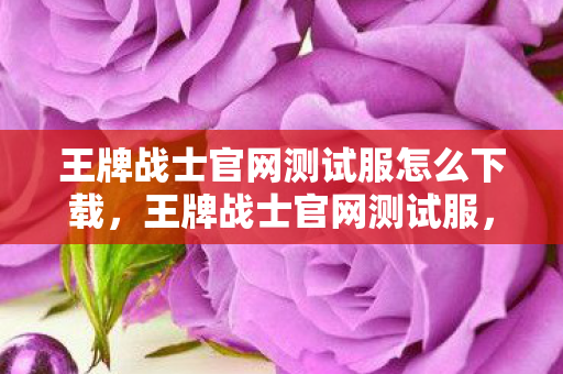 王牌战士官网测试服怎么下载，王牌战士官网测试服，深度解析与体验分享