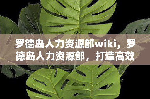 罗德岛人力资源部wiki,罗德岛人力资源部,打造高效团队,激发员工潜能 罗德岛人力资源部wiki,罗德岛人力资源部,打造高效团队,激发员工潜能