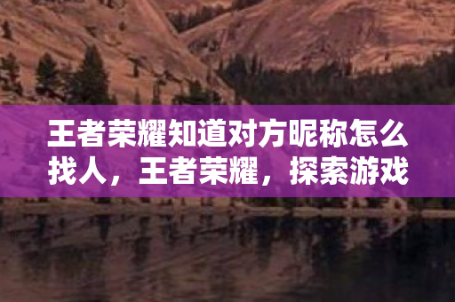 王者荣耀知道对方昵称怎么找人,王者荣耀,探索游戏背后的创新与挑战 王者荣耀知道对方昵称怎么找人,王者荣耀,探索游戏背后的创新与挑战