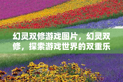 幻灵双修游戏图片,幻灵双修,探索游戏世界的双重乐趣 幻灵双修游戏图片,幻灵双修,探索游戏世界的双重乐趣