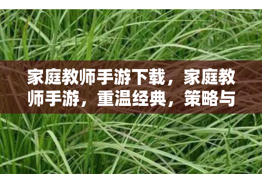 家庭教师手游下载,家庭教师手游,重温经典,策略与养成并重 家庭教师手游下载,家庭教师手游,重温经典,策略与养成并重