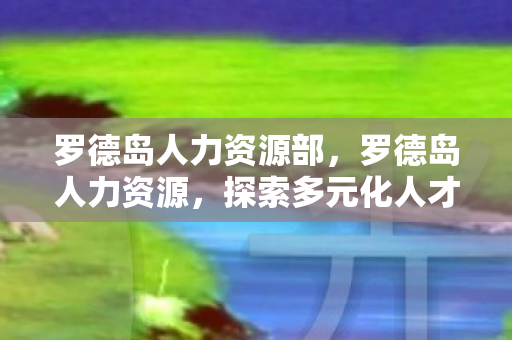 罗德岛人力资源部，罗德岛人力资源，探索多元化人才战略，打造高效团队