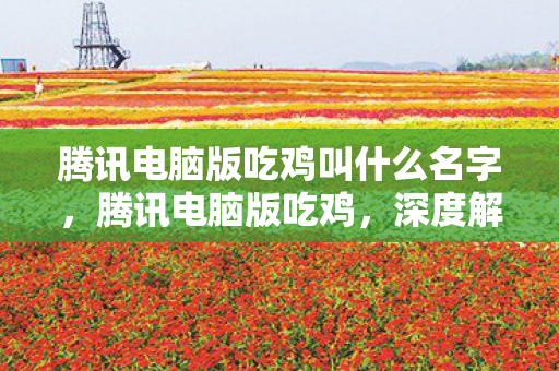 腾讯电脑版吃鸡叫什么名字，腾讯电脑版吃鸡，深度解析其游戏特色与体验