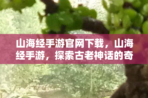 山海经手游官网下载,山海经手游,探索古老神话的奇幻之旅 山海经手游官网下载,山海经手游,探索古老神话的奇幻之旅