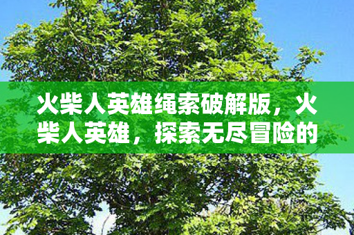 火柴人英雄绳索破解版，火柴人英雄，探索无尽冒险的传奇之旅