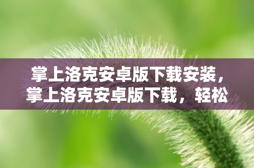 掌上洛克安卓版下载安装，掌上洛克安卓版下载，轻松畅享游戏乐趣