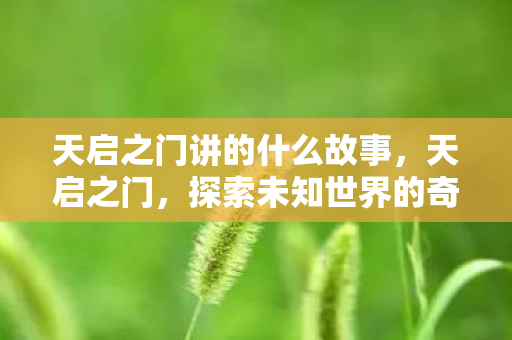 天启之门讲的什么故事,天启之门,探索未知世界的奇幻之旅 天启之门讲的什么故事,天启之门,探索未知世界的奇幻之旅