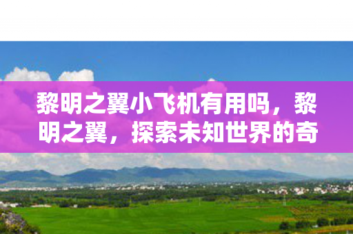 黎明之翼小飞机有用吗，黎明之翼，探索未知世界的奇幻之旅