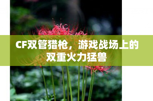 CF双管猎枪，游戏战场上的双重火力猛兽