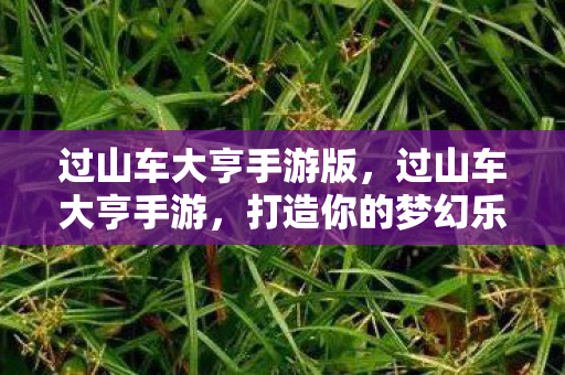 过山车大亨手游版,过山车大亨手游,打造你的梦幻乐园 过山车大亨手游版,过山车大亨手游,打造你的梦幻乐园