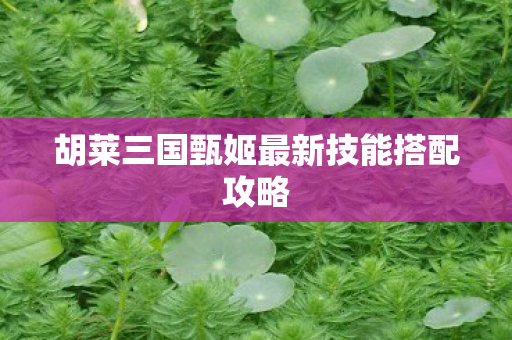 胡莱三国甄姬最新技能搭配攻略