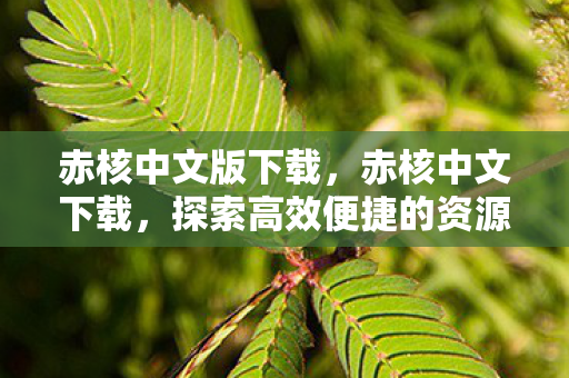 赤核中文版下载,赤核中文下载,探索高效便捷的资源获取方式 赤核中文版下载,赤核中文下载,探索高效便捷的资源获取方式