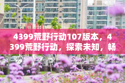 4399荒野行动107版本，4399荒野行动，探索未知，畅享游戏乐趣