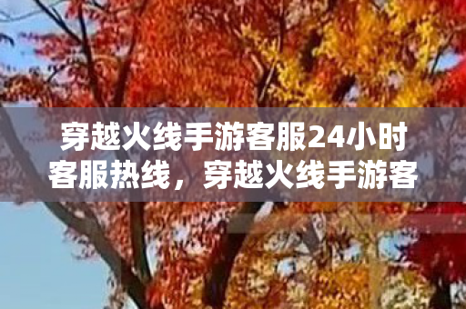 穿越火线手游客服24小时客服热线，穿越火线手游客服，高效、专业的玩家支持