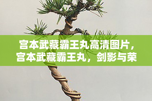 宫本武藏霸王丸高清图片，宫本武藏霸王丸，剑影与荣耀的传奇