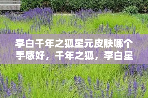 李白千年之狐星元皮肤哪个手感好，千年之狐，李白星元皮肤的传奇魅力