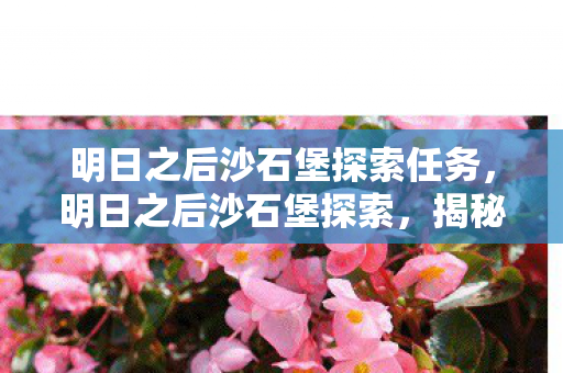 明日之后沙石堡探索任务，明日之后沙石堡探索，揭秘未知世界的神秘面纱