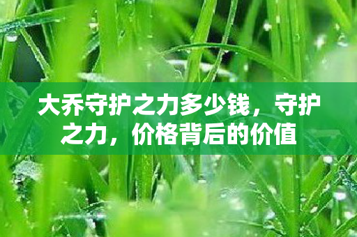 大乔守护之力多少钱，守护之力，价格背后的价值