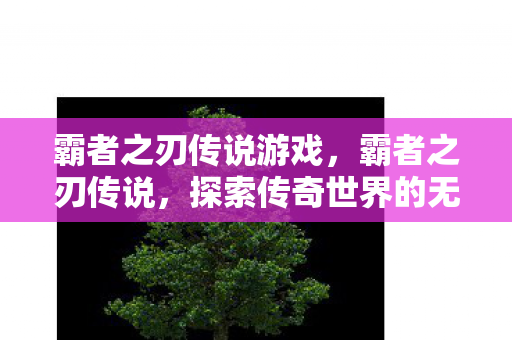 霸者之刃传说游戏，霸者之刃传说，探索传奇世界的无尽奥秘