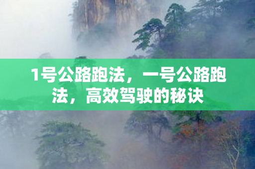 1号公路跑法，一号公路跑法，高效驾驶的秘诀