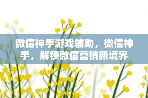 微信神手游戏辅助，微信神手，解锁微信营销新境界