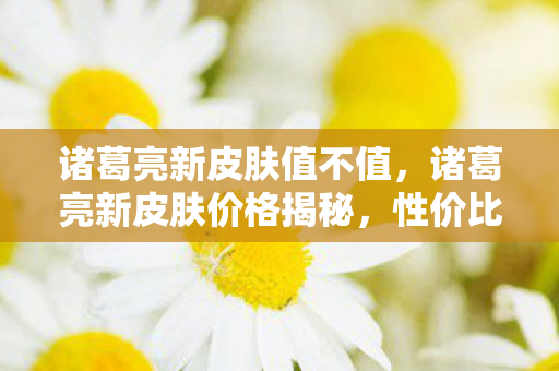 诸葛亮新皮肤值不值，诸葛亮新皮肤价格揭秘，性价比与收藏价值的双重考量