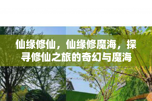 仙缘修仙，仙缘修魔海，探寻修仙之旅的奇幻与魔海