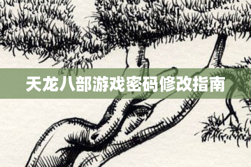 天龙八部游戏密码修改指南