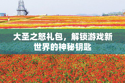 大圣之怒礼包,解锁游戏新世界的神秘钥匙 大圣之怒礼包,解锁游戏新世界的神秘钥匙
