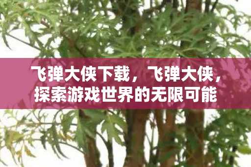 飞弹大侠下载，飞弹大侠，探索游戏世界的无限可能