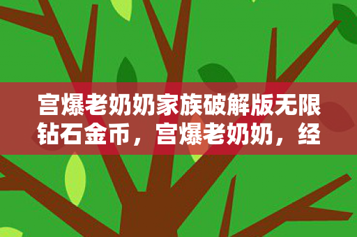 宫爆老奶奶家族破解版无限钻石金币，宫爆老奶奶，经典游戏的魅力与传承
