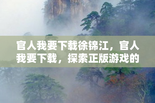 官人我要下载徐锦江，官人我要下载，探索正版游戏的便捷之道