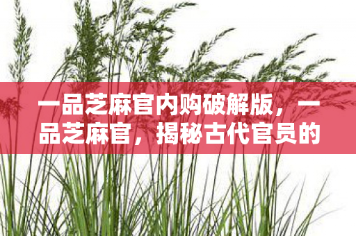 一品芝麻官内购破解版，一品芝麻官，揭秘古代官员的廉洁与智慧