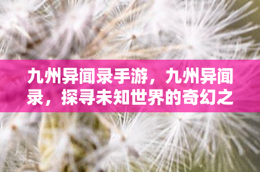 九州异闻录手游,九州异闻录,探寻未知世界的奇幻之旅 九州异闻录手游,九州异闻录,探寻未知世界的奇幻之旅