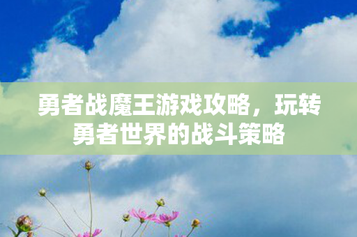 勇者战魔王游戏攻略，玩转勇者世界的战斗策略