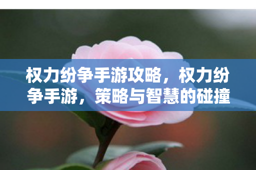 权力纷争手游攻略，权力纷争手游，策略与智慧的碰撞