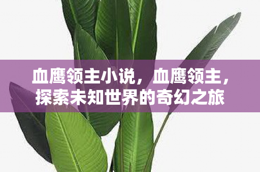 血鹰领主小说，血鹰领主，探索未知世界的奇幻之旅