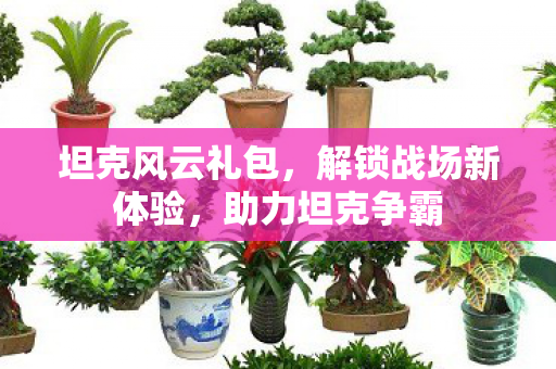 坦克风云礼包，解锁战场新体验，助力坦克争霸