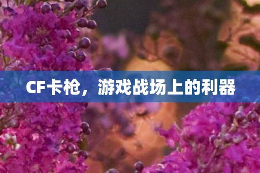 CF卡枪，游戏战场上的利器