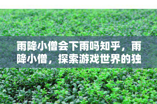 雨降小僧会下雨吗知乎，雨降小僧，探索游戏世界的独特魅力