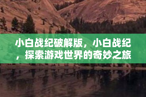 小白战纪破解版，小白战纪，探索游戏世界的奇妙之旅