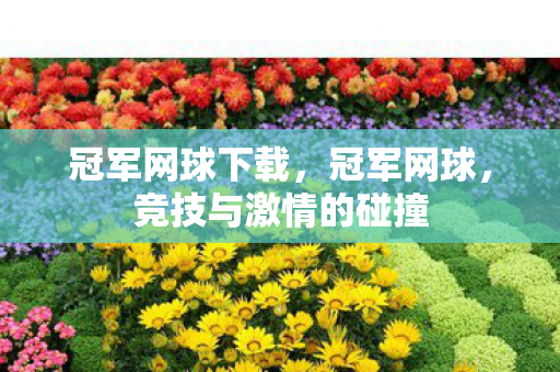 冠军网球下载,冠军网球,竞技与激情的碰撞 冠军网球下载,冠军网球,竞技与激情的碰撞
