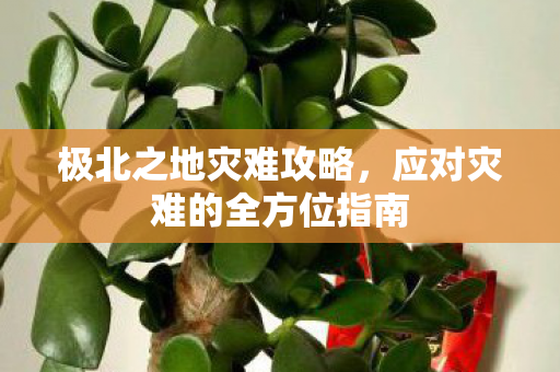 极北之地灾难攻略,应对灾难的全方位指南 极北之地灾难攻略,应对灾难的全方位指南