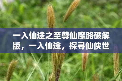 一入仙途之至尊仙魔路破解版，一入仙途，探寻仙侠世界的无尽奥秘