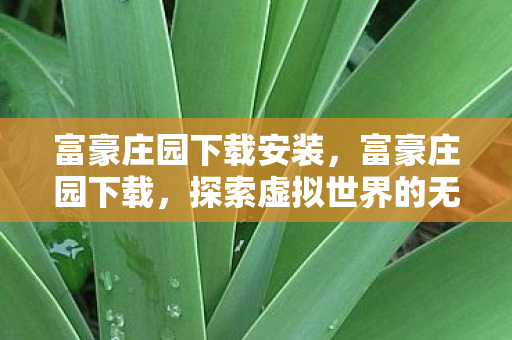 富豪庄园下载安装，富豪庄园下载，探索虚拟世界的无限可能