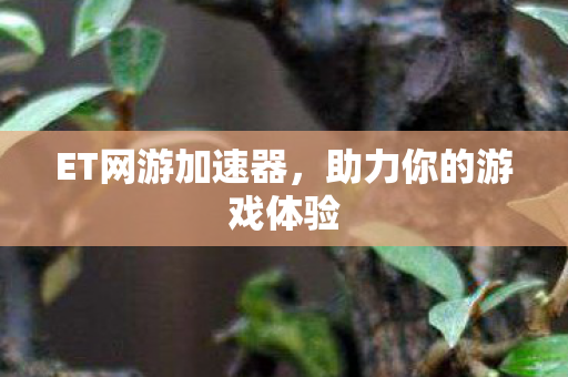 ET网游加速器，助力你的游戏体验