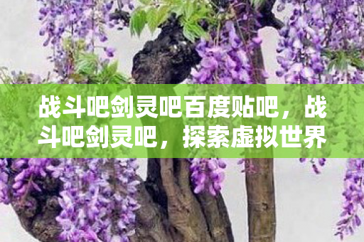 战斗吧剑灵吧百度贴吧，战斗吧剑灵吧，探索虚拟世界的无限可能